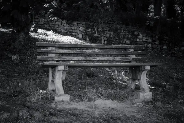 Huzurlu bir parkta, yemyeşil ve yumuşak gölgelerin arasında tek bir bank dinlenir. Güneş ışığı yaprakların arasından süzülerek yansıma için mükemmel barışçıl bir ortam yaratır..