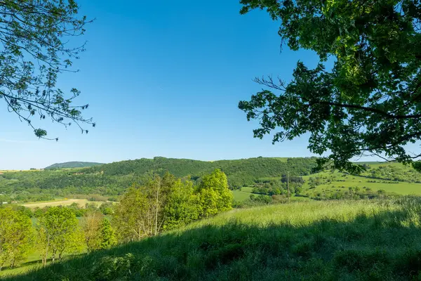 Geniş yuvarlanan tepeler parlak mavi bir gökyüzünün altında ufuk boyunca uzanan canlı yeşilliklerle bezenmiş. Kırsal kesimin sakinliği, günün erken saatlerinde barışı ve yansımayı davet ediyor..