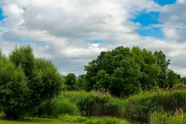 Canlı yeşil ağaçlar ve sakin bir su yolu boyunca uzanan uzun otlarla huzurlu bir manzara gözler önüne seriliyor. Yumuşak bulutlar mavi alanda sürükleniyor, doğanın huzurlu atmosferini güçlendiriyor..