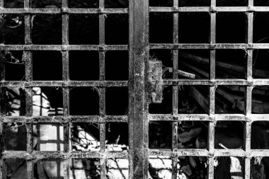 Eski, paslı bir kapı gölgelerin arasında duruyor. Terk edilmiş bir duvarda saklanan sırları ima ediyor. Karmaşık şablonlar, sessiz hikayelerden ve tarihten oluşan bir ağ oluşturur..