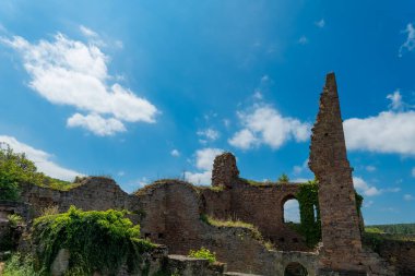 Yeşilliklerin ortasında, eski bir taş yapının kalıntıları görkemli bir şekilde kabarık bulutlarla süslenmiş parlak mavi gökyüzüne karşı yükseliyor. Asmalar tarihin duvarlarını kucaklıyor, keşifleri davet ediyor..