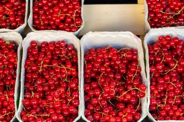 Parlak kırmızı frenk üzümü, kalabalık bir açık hava pazarında kırsal sepetleri doldurur. Müşterileri tatlı tartlarının tadını çıkarmaya davet eder. Gün ışığı meyvenin üzerinde dans eder, cazibelerini arttırır..