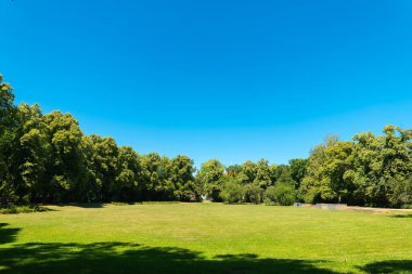 Uçsuz bucaksız yeşil bir çayır, yemyeşil ağaçlarla çevrili, mesafeye doğru uzanıyor. Parlak mavi gökyüzü, piknik ve açık hava aktiviteleri için mükemmel sakin bir atmosfer yaratır..