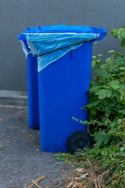 Plastik kaplamalarla kaplı iki mavi çöp tenekesi yemyeşil bir çalılığın yanında duruyor, sıcak öğleden sonra güneşinin altında sakin bir şehir manzarası sergiliyorlar, günlük hayatın bir anını yansıtıyorlar..