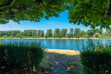 Huzurlu bir nehir kıyısı boyunca uzanan ağaçlar rüzgarda hafifçe sallanıyor. Gün ışığı suyun üzerinde dans ederken huzur dolu bir kaçış sessiz bir yansıma ve rahatlamaya davetiye çıkarıyor..