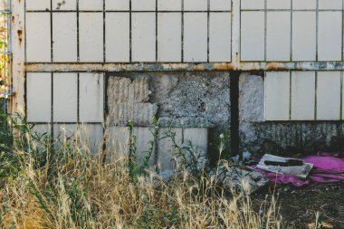 Yıpranmış bir yapı, insan yapımı elementler ve yabani bitkiler arasındaki zıtlığı gösteren, uzun sarı çimen zeminine karşı duruyor. Eksik panellerden geçen güneş ışığı filtreleri, ihmalin vurgulandığını vurgular.