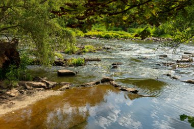 Güneş ışığı yeşil yaprakların arasından süzülürken, nehirde hafif dalgalar dans ediyor. Düz taşlar kıyı şeridini noktalar, huzurlu bir doğal geri çekilme yaratır rahatlama için ideal.