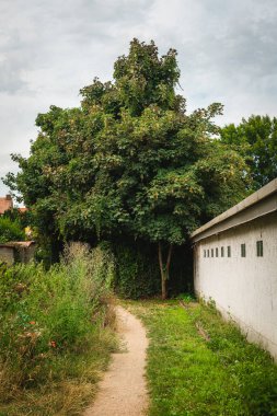 Dolambaçlı bir patika uzun otlar ve kır çiçeklerinin arasından gezginleri çağırır, görkemli bir ağaca götürür. Yakınlarda bir kırsal duvar duruyor, öğleden sonranın sessizliğinde..