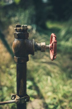 Canlı kırmızı saplı metalik bir su vanası yemyeşil bir bahçede dururken güneş ışığını yakalar. Yeşilliğin etrafını sarmak bağbozumu çekiciliğini arttırır, tarihini düşünmeye teşvik eder..