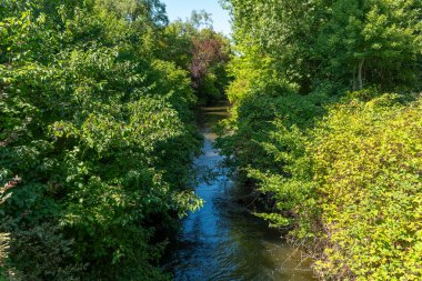 Güneş ışığı, canlı yeşil yapraklarla çevrili, nazikçe akan bir nehrin yüzeyinde dans eder. Bu huzurlu sahne, doğanın kucaklamasına huzur veren anları davet eder..
