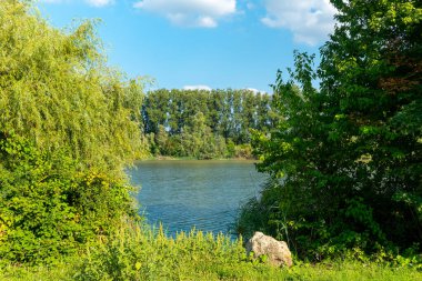 Huzurlu bir nehir, zengin yapraklar ve ağaçlarla çerçevelenmiş canlı gökyüzünü yansıtır. Güneşli bir günde, doğal dünyada huzurlu bir anı davet eder..