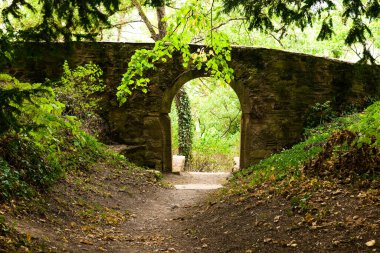 Kırsal bir taş kemer, düşen yapraklar ve yemyeşil ağaçlarla süslenmiş davetkar bir orman yolunu çerçeveler. Güneş ışığı dalların arasından süzülür, yumuşak bir parıltı saçar..