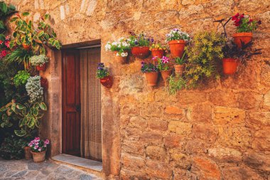 Valldemossa tipik köy cepheler Mallorca Island, İspanya kaplarda bitkiler ile