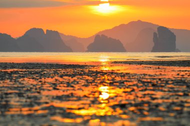 Güneş 'e ve günbatımında denize odaklan.