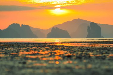 Güneş 'e ve günbatımında denize odaklan.