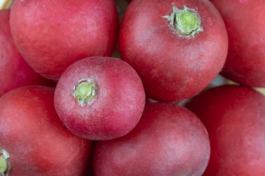 Grup turpu yakın çekim. Bahçe platformundan sulu olgun sebzeli raphanus satisi. Genç bahar kırmızı kökü. Vitaminler doğal gıdalarda. Sağlıklı beslenme. Çiğ diyet yaşam tarzı. Duvar kağıdı kırmızı rengi.