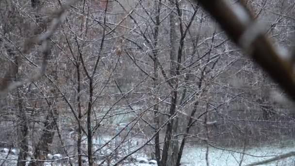 Büyülü Kış Şehri Ağaç Dallarına Caddelere Beyaz Kar Düşüyor Yumuşak — Stok video