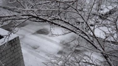 Büyülü kış şehri. Ağaç dallarına ve caddelere beyaz kar düşüyor. Yumuşak kar taneleri düşüyor. Soğuk hava ve kar yağışı. Kış Noel arkaplanı.