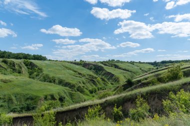 Yeşillikle kaplı vadi manzaralı. Jeolojik kusurları olan manzara vadisi. Yeryüzü dağları ve tümsekler gökyüzüne karşı rahatlıyor. Çıkıntıları ve aralıkları olan tepe kirişi. Ot ve ağaçlar bayır kanyonunda.