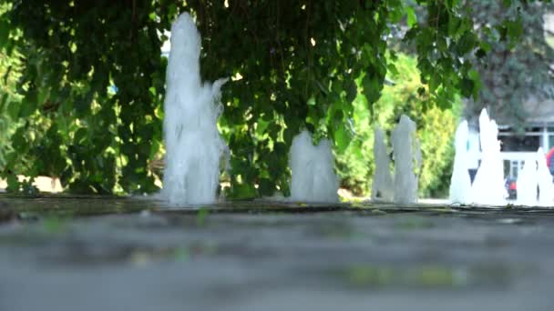 赤脚年轻女子在人行喷泉中行走 城市公园里 女孩的白色T恤和绿色短裤和瀑布式的水搭配在一起 炎炎夏日凉爽凉爽宜人 人们享受溪流之泉 — 图库视频影像