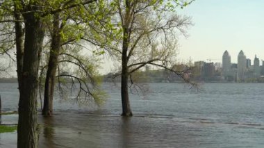 Bahar zamanı sel nehri. Şehirdeki nehir taşmış. Batık ağaçlarla dolu su dolu bir banka. Şişe kıyı şeridi akışı ve doğal afet. İklim değişikliği ve ekolojik sorun. Yüksek su seviyesi.
