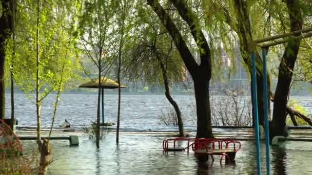 Inondazione Sulla Riva Del Fiume Primavera Giochi Acquatici Campi Sportivi — Video Stock
