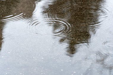 Sokak yolundaki su birikintisine yağmur damlaları. Yağmur yağar ve suda daireler çizer. Ağaçların karanlık siluetleri şeffaf su birikintisinde yansıyor. Yüzeyde dalgalanma var. Kötü hava.