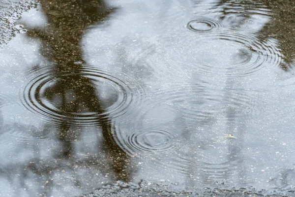 路面の水溜りに雨が降る 雨の秋と水の上に円を残し 透明な水たまりに木々の反射の暗いシルエット 表面のリップルに残ります 悪天候 — ストック写真