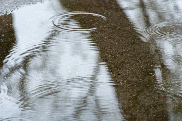 Esőcseppek Felszíni Pocsolyában Utcán Esik Eső Köröket Hagy Vízen Fák Stock Fotó