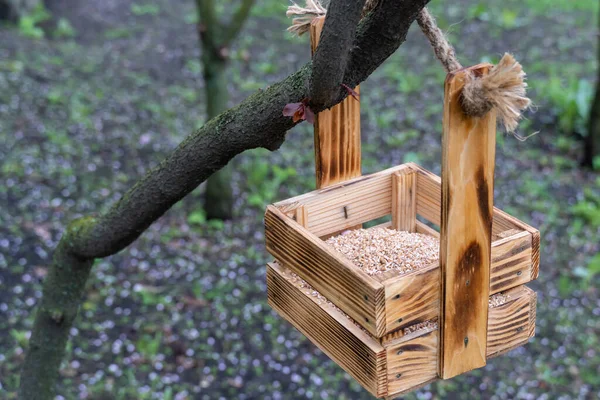 Vogelfutterhäuschen Aus Holz Frühlingsgarten Aus Nächster Nähe Quadratische Öko Schachteln — Stockfoto