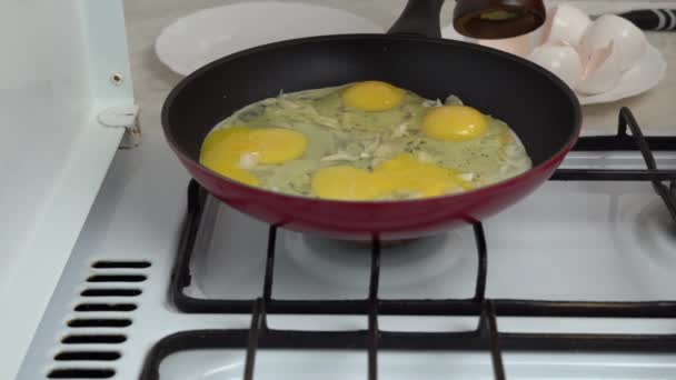 Πασπαλίζουμε Μαύρο Πιπέρι Και Μαγειρεύουμε Τηγανητά Αυγά Λευκό Κρεμμύδι Προσθέτοντας — Αρχείο Βίντεο