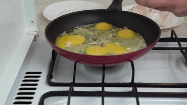 撒上盐 用白葱煮炒鸡蛋 在家庭厨房的煎锅里煎鸡蛋 蛋白质和蛋黄是天然的充分营养 在厨房的煤气炉上做饭 — 图库视频影像