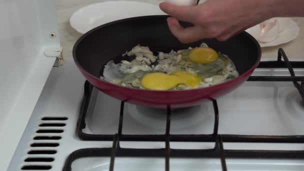 Kadın Elleri Çırpılmış Yumurta Beyaz Soğan Pişiriyor Kızartma Tavasında Tavuk — Stok video