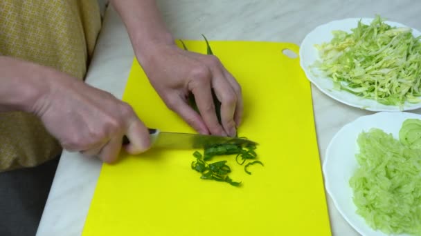 Ama Casa Corta Cebolla Verde Cuchillo Cocina Cerca Las Manos — Vídeo de stock