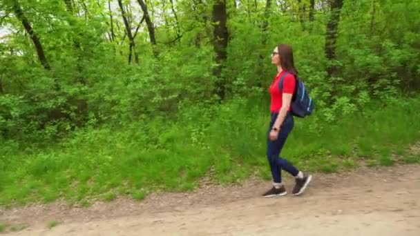 Toeristische Vrouw Met Rugzak Wandelen Loofbos Actieve Volwassen Recreatie Van — Stockvideo