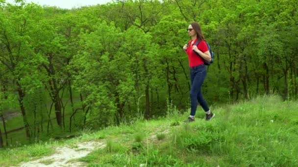 Τουριστική Γυναίκα Σακίδιο Περπάτημα Φυλλοβόλο Δάσος Ενεργό Ενηλίκων Αναψυχής Της — Αρχείο Βίντεο