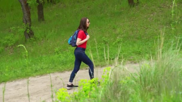 背着背包走在落叶森林里的女游客 活跃的成年人在绿谷徒步旅行的闲暇 人们享受着漫步的情欲和春天青草丛中的景色 女性远足者对野生动物的探索 — 图库视频影像