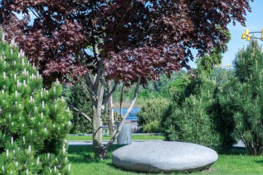 Manzara tasarımında doğal taş uygulaması. Bahçede büyük kayalar ve kozalaklı ağaçlar var. Bahçe işlerinde manikürlü yeşil bitkiler. Kamu parkındaki dış manzaraya bak. Tasarımcılar için örnek.