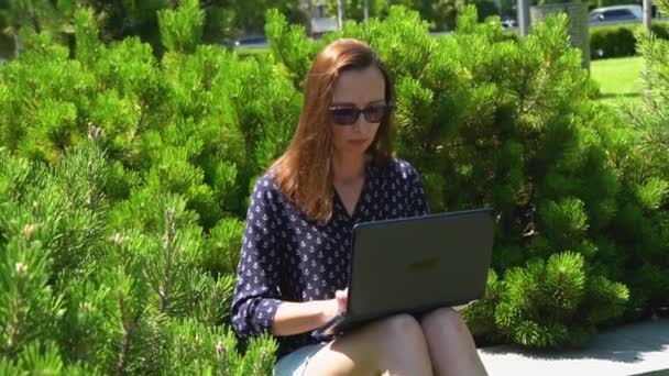 Mujer Freelance Trabaja Portátil Parque Ciudad Educación Estudiantes Jóvenes Adultos — Vídeos de Stock