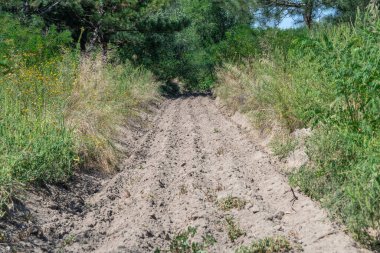 Ormandaki kum yolu. Garaj yolundaki dört tekerlekli bisikletin lastik izi. Doğa arazisindeki dörtlü bisikletin izi. Kum dokusu bozuk. Ormanda yol kapalı. Güneşli bir günde kum tepeleri ve yeşil orman.