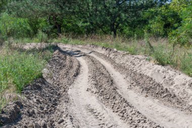 Ormandaki kum yolu. Garaj yolundaki dört tekerlekli bisikletin lastik izi. Doğa arazisindeki dörtlü bisikletin izi. Kum dokusu bozuk. Ormanda yol kapalı. Güneşli bir günde kum tepeleri ve yeşil orman.