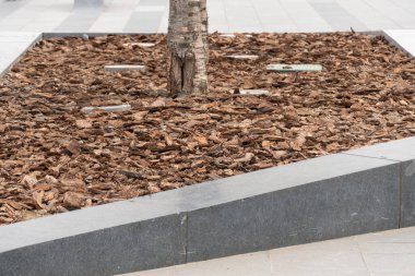 Park tasarımı için ağaç gövdesini ağaç kabuğuyla öğütmek. Çiçek tarlasına saçılmış dekoratif gübre parçası. Çimenler için doğal çam rengi ahşap parçaları. Peyzaj alanında organik çevre ürünü.