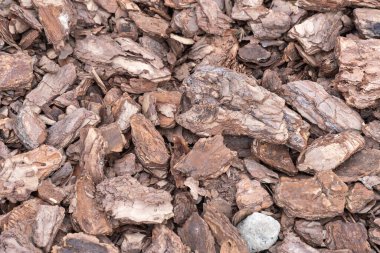 Ezilmiş ağaç kabuğu dokusu yakından. Ahşap toprak parçası soyut bir arka plan bileşimi olarak kullanılıyor. Ağaç kabuğu dokusunun parçaları arka plan için. Odun parçaları. Organik çevre ürünü.