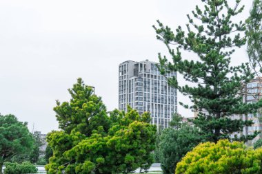 Yüksek katlı bankların çevrili olduğu güzel, modern bir şehir parkı. Şehir merkezindeki halka açık park. Kozalaklı kozalaklı kaldırım. Şehir manzarasında dinlenmek için bir yer. Şehir mimarisi.