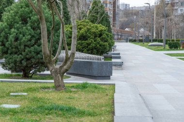 Yüksek katlı bankların çevrili olduğu güzel, modern bir şehir parkı. Şehir merkezindeki halka açık park. Kozalaklı kozalaklı kaldırım. Şehir manzarasında dinlenmek için bir yer. Şehir mimarisi.