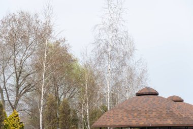 Nehir kıyısındaki metal dairesel boş çardak. Arbour ve Bower açık havada iskelede. Açık su manzarası sunan çatılı bir yapı. Dinlenme ya da eğlence için kullanılan tırabzan ile pavyonun dış tarafı.
