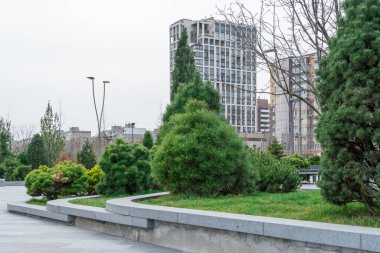 Yüksek katlı bankların çevrili olduğu güzel, modern bir şehir parkı. Şehir merkezindeki halka açık park. Kozalaklı kozalaklı kaldırım. Şehir manzarasında dinlenmek için bir yer. Şehir mimarisi.