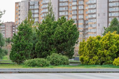 Yüksek katlı bankların çevrili olduğu güzel, modern bir şehir parkı. Şehir merkezindeki halka açık park. Kozalaklı kozalaklı kaldırım. Şehir manzarasında dinlenmek için bir yer. Şehir mimarisi.