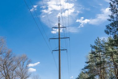 Ormandaki elektrik iletim kuleleri ve elektrik hatları. Yüksek voltaj direği yolda. Kırsal kesimde enerji endüstrisi kavramı. Kriz ve enerji sektöründeki sorunlar. İletişim ve güç kaynağı.