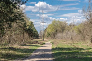 Ormandaki elektrik iletim kuleleri ve elektrik hatları. Yüksek voltaj direği yolda. Kırsal kesimde enerji endüstrisi kavramı. Kriz ve enerji sektöründeki sorunlar. İletişim ve güç kaynağı.